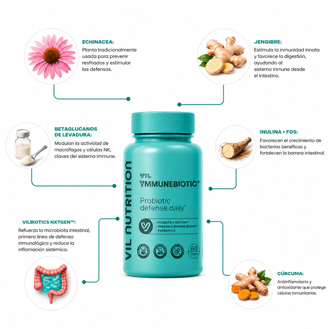 Vil YmmuneBiotic™ – El probiótico que refuerza tus defensas y te mantiene fuerte todo el año